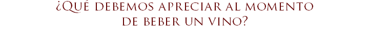¿Qué debemos apreciar al momento  de beber un vino?